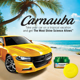 Turtle Wax Carnauba Cleaner Paste Wax - 14 oz. - Autohub Pakistan