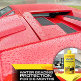 FORMULA 1 Carnauba Liquid Wax - Autohub Pakistan