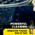 Meguiar's Foaming Bug & Tar Remover 15oz.