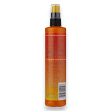 Armorall Original Protectant (295ML) - Autohub Pakistan